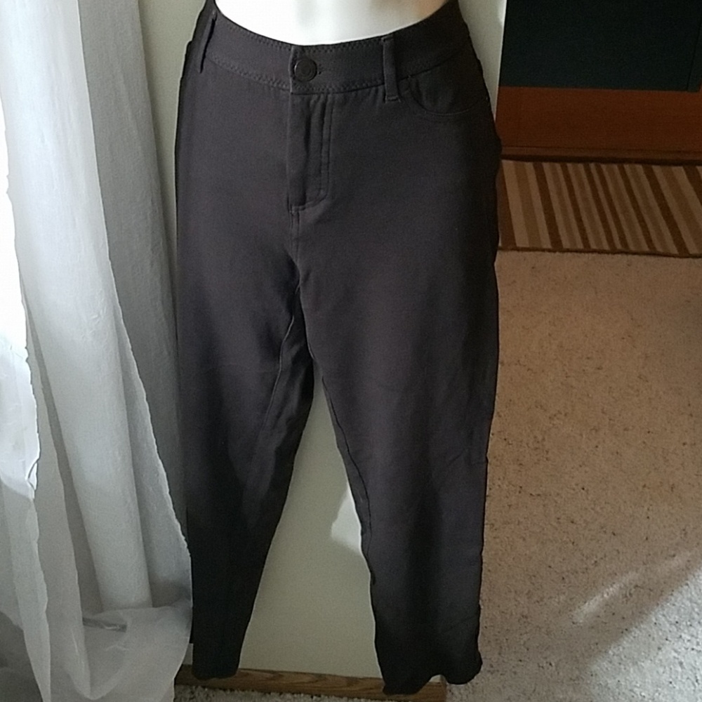 CHICO'S Brown Elastic Pants